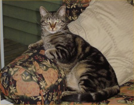 海外のスターリング