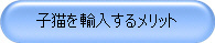 子猫を輸入するメリット
